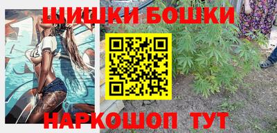 индика Абинск