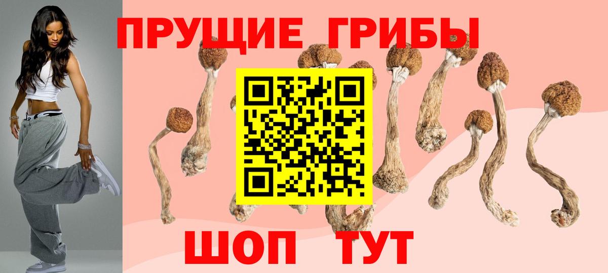 Псилоцибиновые грибы Psilocybine cubensis Анапа
