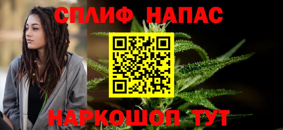 Конопля сатива Анапа